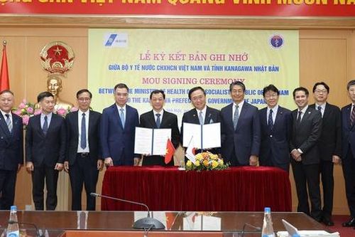 'Chăm sóc sức khỏe và y tế là một trong những lĩnh vực quan trọng hàng đầu Nhật Bản tập trung hợp tác với Việt Nam'