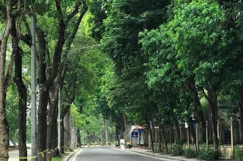Hà Nội mùa tình yêu