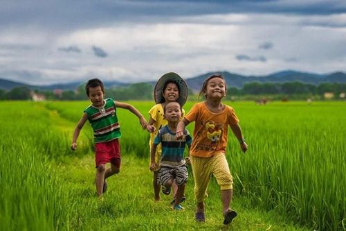 Đến với bài thơ hay: Những ám ảnh nghệ thuật về người nông dân
