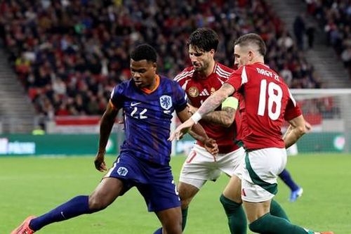 Nhận định Hà Lan vs Hungary, 02h45 ngày 17/11: 'Lốc da cam' bùng nổ