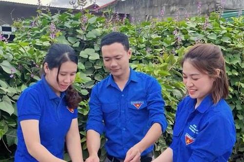 Vượt ngàn cây số gieo chữ