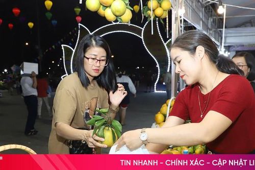 Có gì hấp dẫn tại Lễ hội Cam và các sản phẩm Hà Tĩnh 2024?