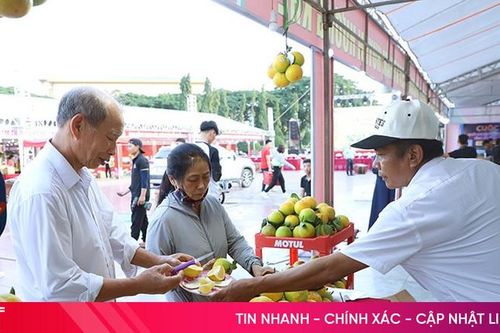 Rộn ràng mua sắm tại lễ hội cam Hà Tĩnh