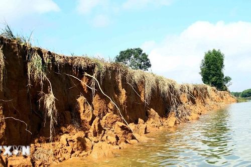Quảng Bình: Sạt lở bờ sông Kiến Giang, 'nuốt chửng' nhiều diện tích đất sản xuất