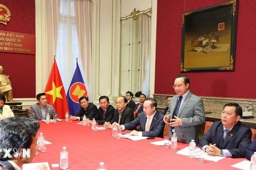 Tỉnh Long An tìm kiếm cơ hội hợp tác với Bỉ trong lĩnh vực năng lượng tái tạo