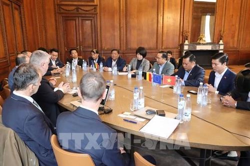 Nhiều cơ hội hợp tác Việt-Bỉ trong lĩnh vực năng lượng tái tạo