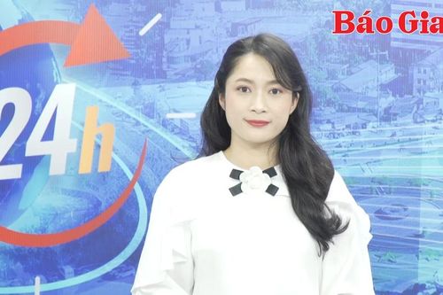 Gia Lai 24h: Phân hiệu Trường Đại học Sư phạm TP. Hồ Chí Minh tại tỉnh Gia Lai tổ chức hoạt động đào tạo