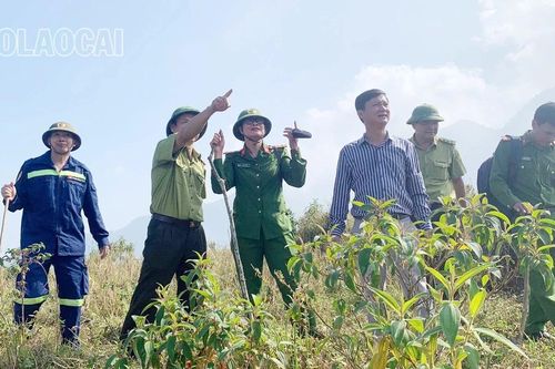 Kiểm tra, tuyên truyền công tác phòng cháy, chữa cháy rừng tại xã Tả Phời