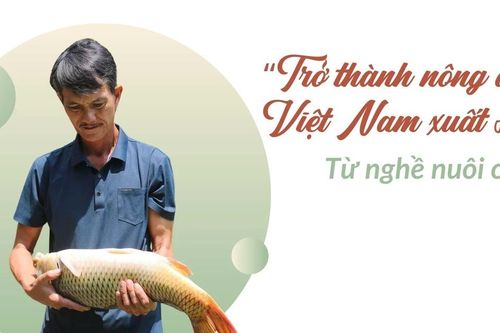 Trở thành nông dân Việt Nam xuất sắc từ nghề nuôi cá
