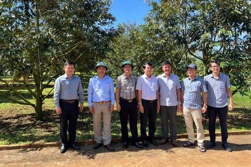 Đoàn công tác huyện Hướng Hóa thăm và làm việc tại huyện Di Linh