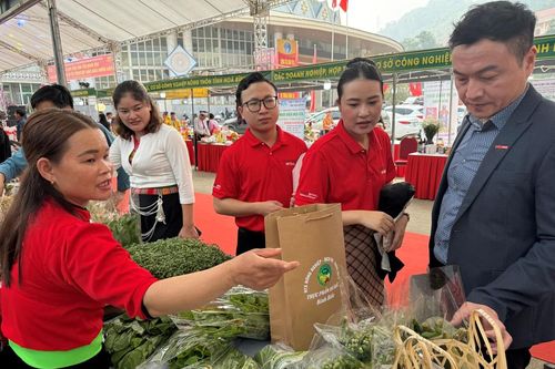 Central Retail Việt Nam lan tỏa kết nối giao thương trên phạm vi cả nước