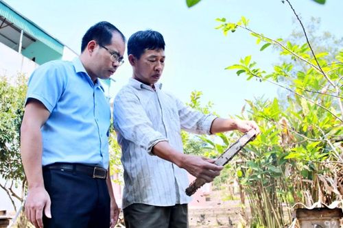 Thực hiện hiệu quả chính sách an sinh, giảm nghèo bền vững