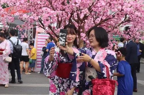Đặc sắc Lễ hội Kanagawa Nhật Bản 2024 tại Hà Nội