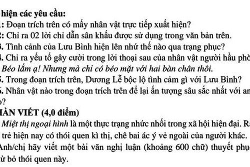 Đề Ngữ văn: Viết bài luận thuyết phục người khác từ bỏ thói quen miệt thị ngoại hình