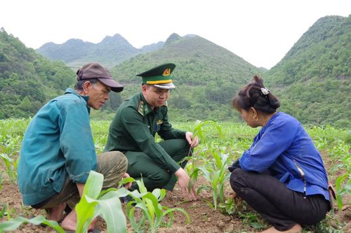 Ấm tình quân dân nơi biên giới