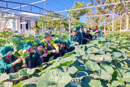 Nâng chất giáo dục mầm non