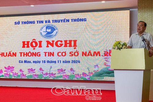 Tập huấn thông tin cơ sở năm 2024