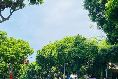 Bắc Bộ nắng hanh, sáng sớm có sương mù nhẹ
