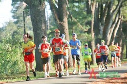 Giải chạy Gia Lai City Trail 2024 - Giấc mơ đại ngàn thu hút hơn 6.800 vận động viên tham gia