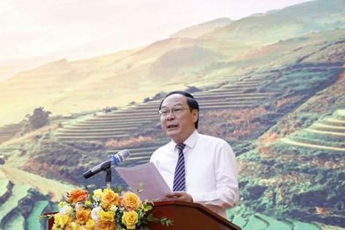 Đề xuất các địa phương giám sát hoạt động vứt rác bằng camera