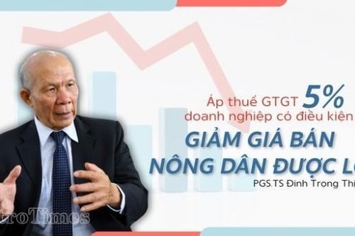 PGS.TS Đinh Trọng Thịnh: Áp thuế GTGT phân bón 5%, nông dân được hưởng lợi!