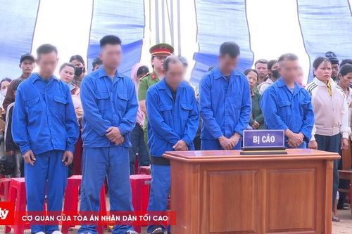 Hủy hoại rừng, 5 đối tượng lĩnh án