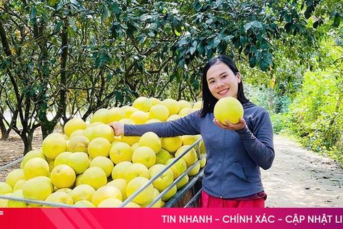 Nông dân Hương Khê thay đổi tư duy, chuyển canh tác theo hướng hữu cơ