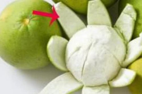 Vỏ bưởi không chỉ có tác dụng khử mùi hôi mà còn có 3 công dụng tuyệt vời, bây giờ mới biết cũng chưa muộn nhé!