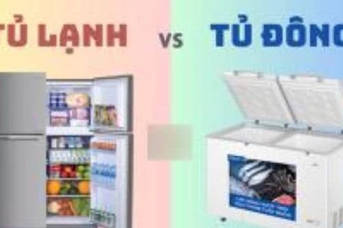 Tủ lạnh và tủ đông có gì khác nhau?