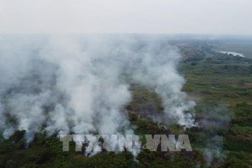 Tài chính khí hậu: Nguyên tắc, tính công bằng và sự chia sẻ