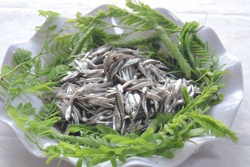 Loại cá xưa dành cho nhà nghèo, giờ thành đặc sản muốn mua phải đặt trước, 110.000 đồng/kg