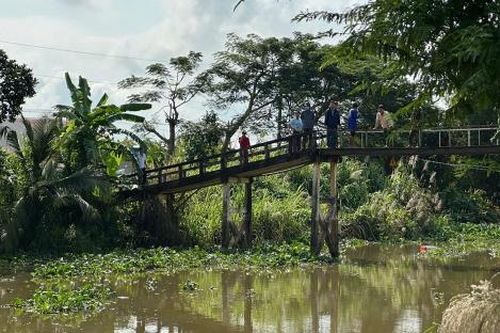 Truy bắt cá sấu nổi trên sông ở Long An
