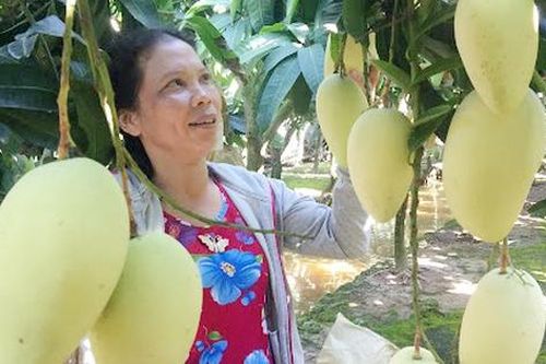 Truyện ngắn: Người nông dân