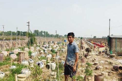 Hà Nội dự chi gần 38 tỷ đồng hỗ trợ người dân khôi phục sản xuất