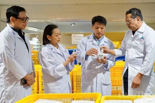 Sẽ tiếp tục xuất khẩu vaccine phòng bệnh dịch tả lợn châu Phi sang Philippines
