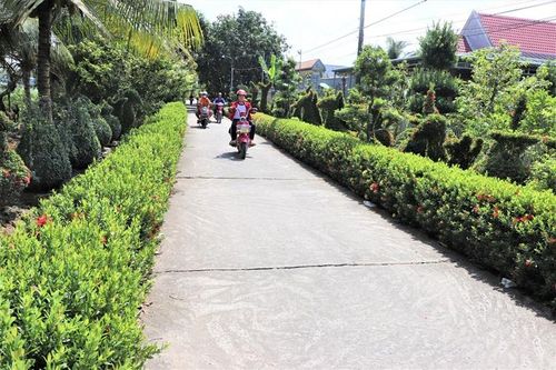 Những tuyến đường hoa tô điểm nông thôn mới huyện Cao Lãnh