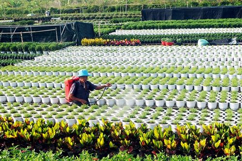 Thi đua phát triển kinh tế - xã hội đạt nhiều kết quả tích cực