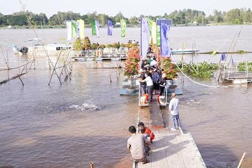 Thả cá ra tự nhiên tái tạo nguồn lợi thủy sản