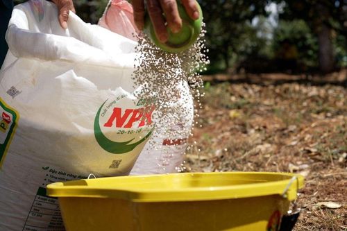 Những giải pháp hay giúp 'thức dậy' những mùa vàng