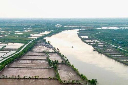 Hải Dương: Chủ động ứng phó xâm nhập mặn để bảo vệ sản xuất