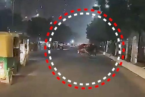 Trâu 'điên' lao ra giữa đường, húc ngã xe máy