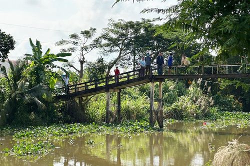 Truy bắt cá sấu nổi trên sông Bằng Lăng, Long An