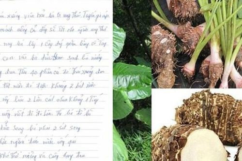 Người phụ nữ 61 tuổi ở Phú Thọ phải nhập viện gấp vì một sai lầm trong điều trị ung thư tuyến giáp