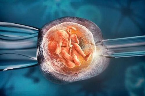 Gần 150.000 em bé chào đời nhờ kỹ thuật thụ tinh trong ống nghiệm