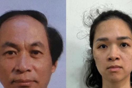 Công ty Thành An Hà Nội sử dụng hai hệ thống sổ kế toán, gây thiệt hại 743 tỷ đồng