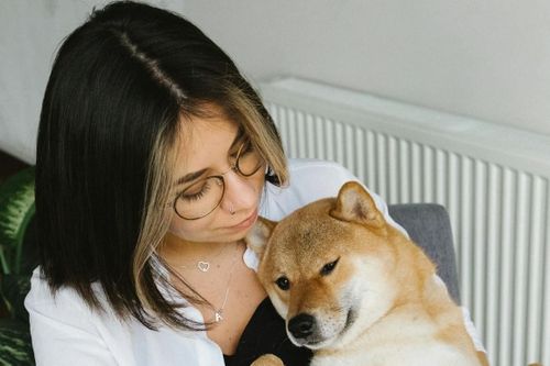 Tranh cãi việc nghỉ phép có lương để chăm chó, mèo bị ốm