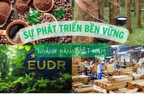 Hành động cho chính sự phát triển bền vững của các ngành hàng Việt Nam