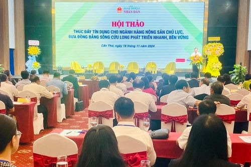 Nông dân và doanh nghiệp ở ĐBSCL còn nhiều trở ngại khi tiếp cận tín dụng