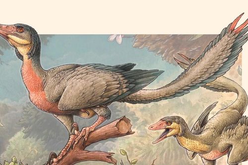 Tại sao chim sống sót trong khi khủng long tuyệt chủng?