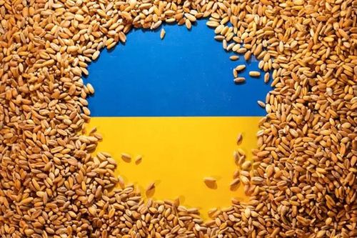 Ukraine đạt kỷ lục sản xuất 70 triệu tấn ngũ cốc và hạt dầu